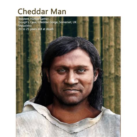 cheddar man face model